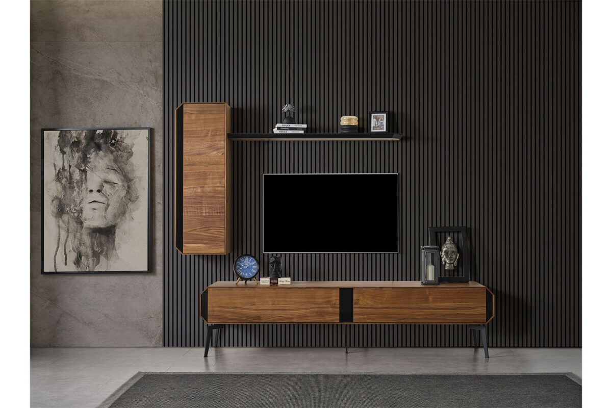 Bold-Tv-Unitesi (3)